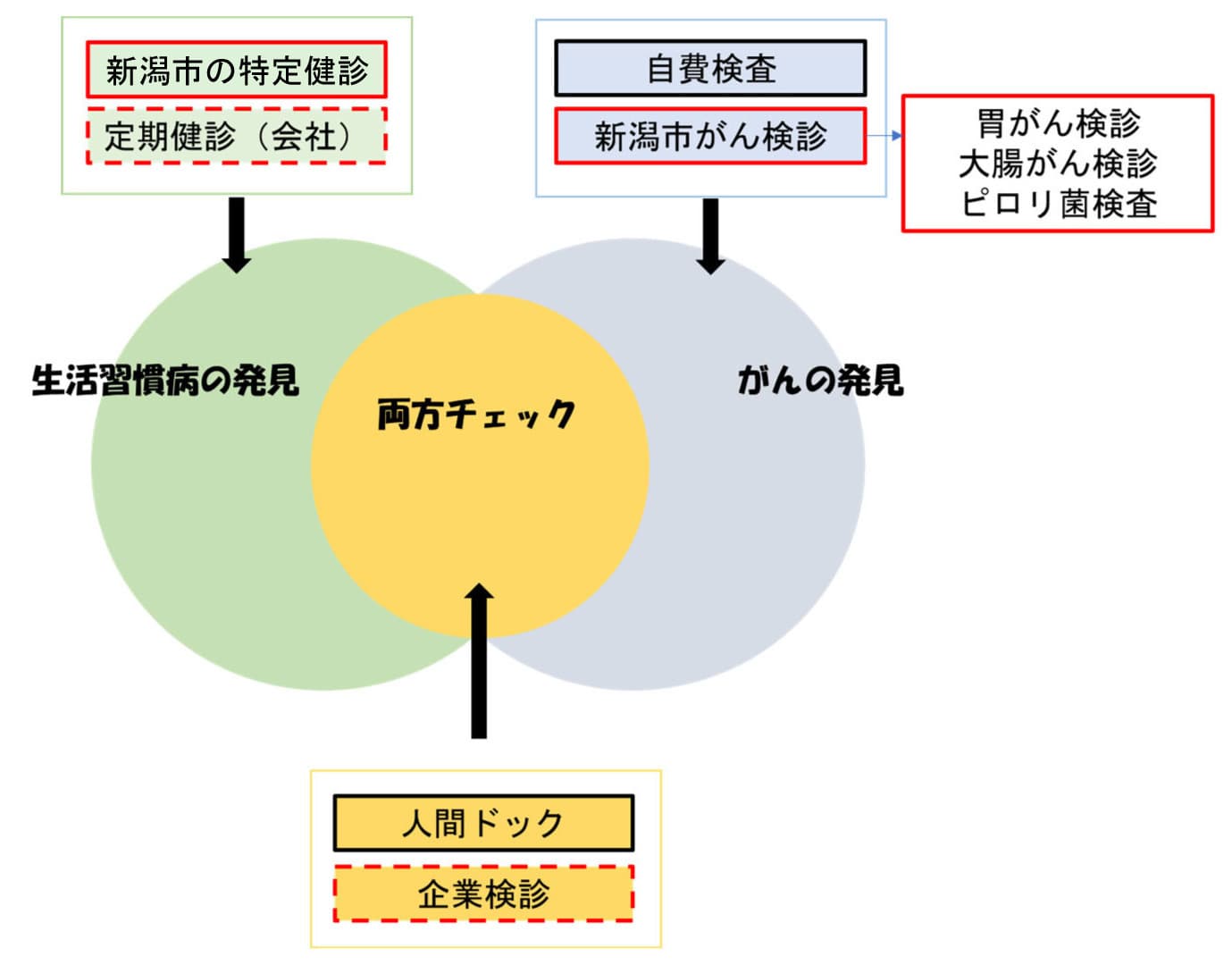 健(検)診やドックの補助