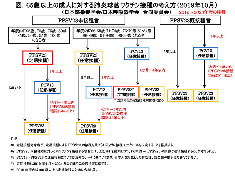 65歳以上の成人に対する肺炎球菌ワクチン接種の考え方